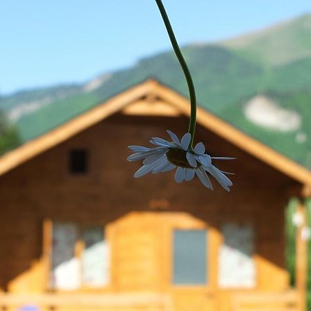 Mountain Cabins ميستيا المظهر الخارجي الصورة
