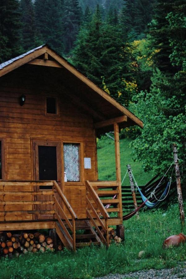 Mountain Cabins ميستيا المظهر الخارجي الصورة